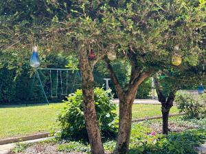 Maisons de vacances Maison climatisee - Beauval et Chateaux : photos des chambres