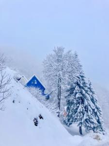 Appart'hotels ISKO CHALETS-HOTEL, Col d'Aubisque : photos des chambres