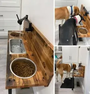 korossol - Chassaing