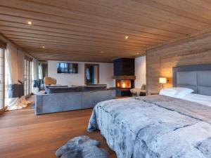 Stunning Modern Chalet with Indoor Pool and Spa