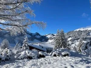 Ferienhaus Relax - Charmey