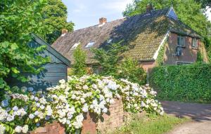 Gorgeous Home In Diever With Wifi