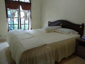 Umah Dau Homestay