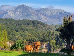 La Torre de Llames Arriondas VV-1401-AS