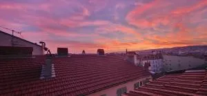 Jolie chambre Privée Centre-Ville - Nice