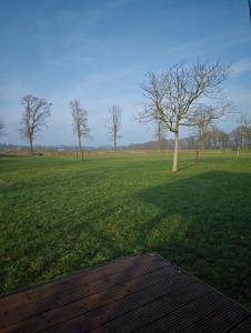 Glampingtent 6 persoons Lindershoeve Bergeijk