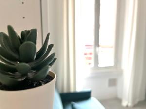 Milano Rubens Studio Flat