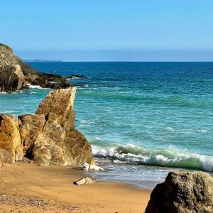 Chaumière bord de mer