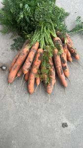 Pilotenhof - Hooizolder