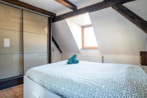 Sejours chez l'habitant Duplex Spacieux et Moderne Au coeur de l Alsace : photos des chambres