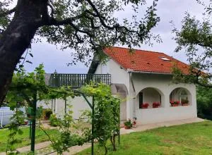 Sziklaszirt - Wellnes Vendégház - 绍尔戈陶尔扬