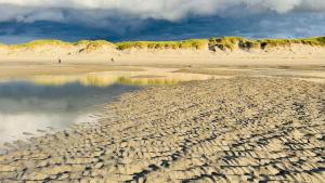 Appartements L-escapade au coeur de Berck-sur-mer : photos des chambres