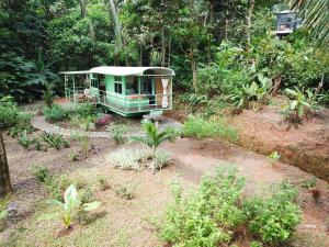 Jungle Bus, 5 min drive to PlayaLinda, 15 to Dominical, Wifi Starlink