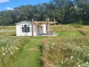 Hoeve Twente - De Wielewaal - 罗赫尔