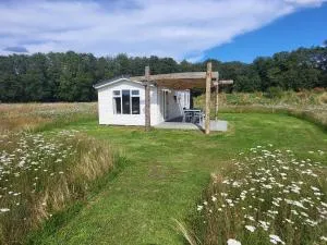 Hoeve Twente - De Bonte Specht - 罗赫尔