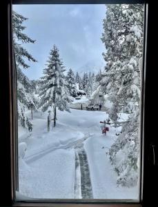 Acogedor apartamento a pie de pistas, Baqueira 1500