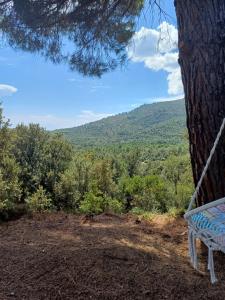 Villas VILLA I BAGHI - sans vis-a-vis au calme : photos des chambres