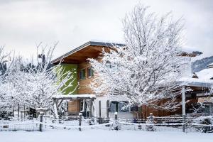 Designferienhaus Altenmarkt Zauchensee