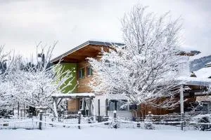 Designferienhaus Altenmarkt Zauchensee - Kleinarl