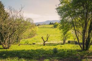 Maisons de vacances Maison de caractere au pied des Pyrenees : photos des chambres