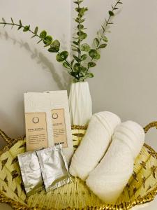 RomgelTransientHouseFamily