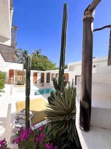 Casa Leone La Punta - 3hvězdičkové hotely ve městě Brisas de Zicatela