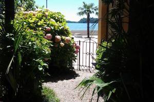 Apartment La Rosa