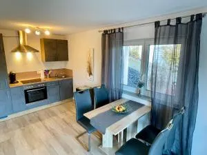 1 Zimmer Apartment im Schwarzwald - Sterneck