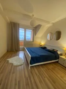 7 people - 1 price - Cozy attic apartment - Bajerov