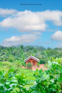 Habarana Farm Cottage