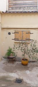 Appartement cosy rue HAGUENOT proche Arceaux