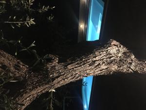 Trullo Rosa with exclusive pool