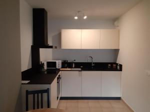 Appartements Le Cedre, appartement avec garage : Appartement 1 Chambre