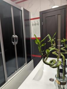 2-кім Новобудова, центр, провулок Лапушкіна , 9