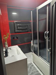 2-кім Новобудова, центр, провулок Лапушкіна , 9