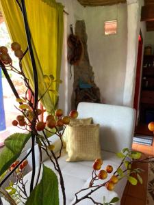 Cabaña El Botón Seilan Alojamiento Rural