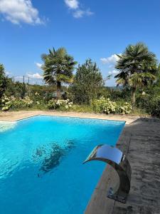 Nerrys Garden Izmit - Rose