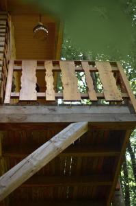 Treehouse Velké Losiny