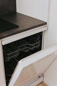 Lacplesa Street Apartment