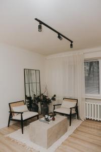 Lacplesa Street Apartment