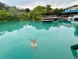 Casa Kubler - Floreana