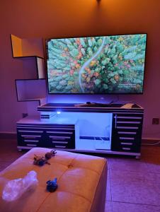 Luxury Two Bedroom Master & Suite Apartment