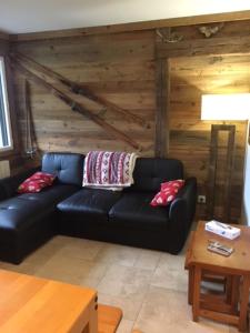 Appartement de charme familial aux CARROZ d ARACHES