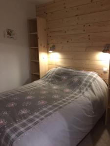 Appartements Appartement de charme familial aux CARROZ d ARACHES : Appartement 2 Chambres