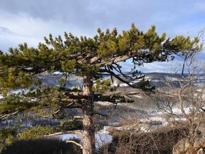 Čardak na padini Zlatibora