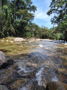 Pedaço do Paraiso