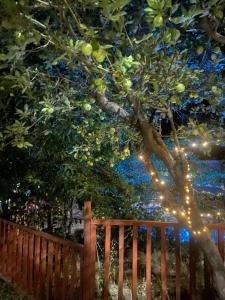 Cabañas Between Hills