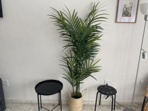 Ecosuite 2, Near the beach and shared terrace.