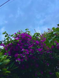 Apartamento com vista panorâmica em Bombas