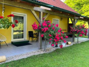 Ferienwohnungen Fam. Pabst